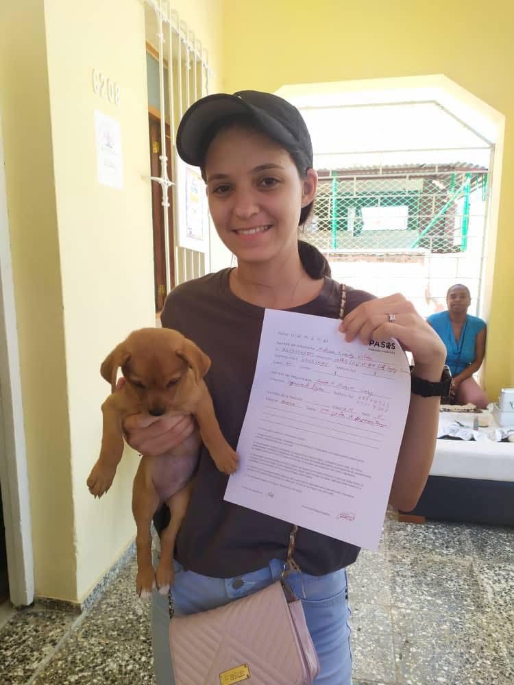 Perro feliz siendo abrazado por su nueva dueña después de ser adoptado