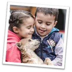 Niños cuidan de un perro rescatado en el refugio