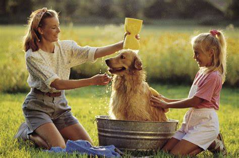 Familia cuidando de un perro rescatado