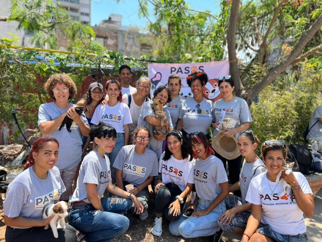 Equipo de voluntarias del refugio PASOS S.O.S con un pequeño gato negro rescatado.